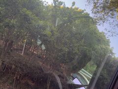 -平湖九龙山旅游度假区