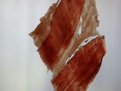 -Oyster Talks 四度蚝法餐厅