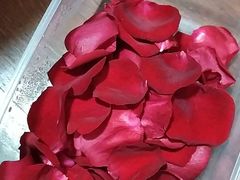 -双季花艺园艺市场(浦东店)