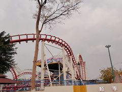 -顺季