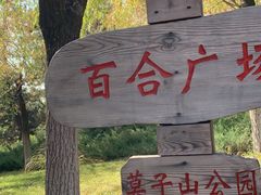 -莫子山公园
