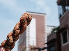 蒜蓉枝-海丝金凤(金鱼店)