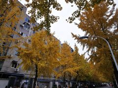 -四川大学(望江校区)