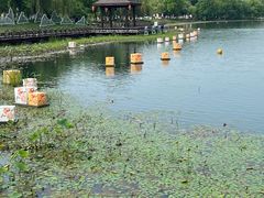 -尚湖风景区