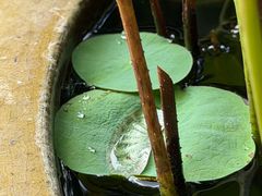 -香积寺