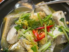 -日日香卤鹅饭店·澄海狮头鹅(澄海店)