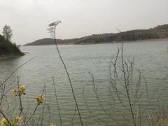 -木兰云雾山