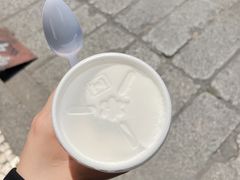 -洪馨椰子