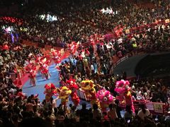 -广州长隆国际大马戏