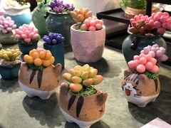 -手工艺活态馆