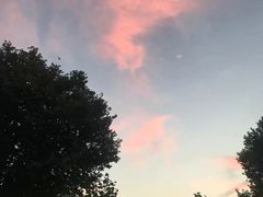 -武昌江滩