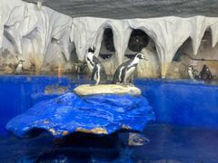 -太平洋海底世界