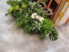 -海马体照相馆(新南凯德广场店)