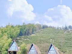 -长沙黑麋峰国家森林公园