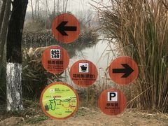 -桤木河湿地公园