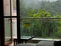 -河源万绿湖美思威尔顿酒店