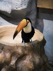 -Zoolung Zoolung动物主题公园(海信广场店)