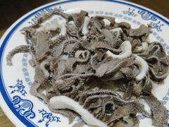 牛百叶-老爆肚满五香烧牛羊肉