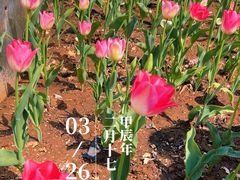 -泉城广场