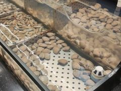 -韩盛·盛江山自助料理(中街大悦城店)