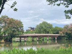 -顺峰山公园