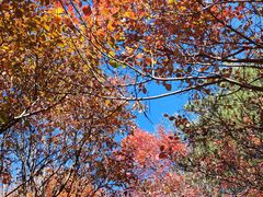 -湖洞水自然风景区