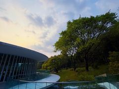 -云溪植物园
