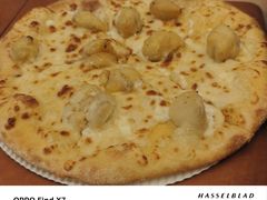 -达美乐比萨(新洲店)