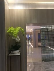 -CE·专业蛋白•羽毛接发·潮色烫染品牌店