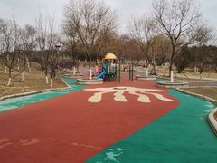 -大兴滨河森林公园