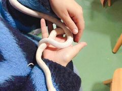 -藦茜花园宠物主题亲子互动体验馆(国顺东路店)
