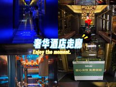 -索拉古贝(义乌北苑店)