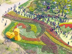 -苏州上方山国家森林公园