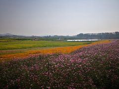 -光明小镇欢乐田园