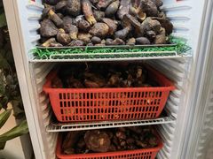 -太婆天府山珍酒楼(亚运村店)