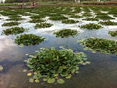 -处女泉风景名胜区