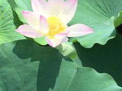 -合家亲妈妈菜·博山菜老字号(联通路店)