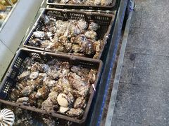-华威西营里农产品批发市场