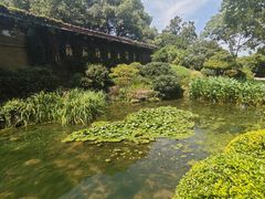 -中国茶叶博物馆(双峰馆区)