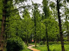 -国家植物园南园