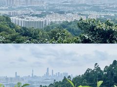 -火炉山森林公园