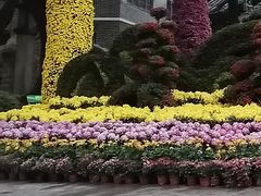 -鹅岭公园瞰胜楼