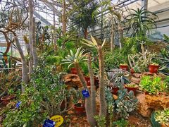 -国家植物园南园