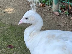 -杭州野生动物世界