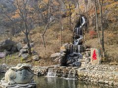 -大连天门山国家森林公园