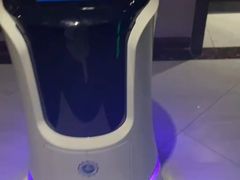 -金枫酒店