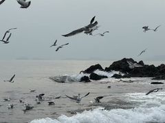 -日丰园海肠水饺·老字号大连海鲜(银泰城店)