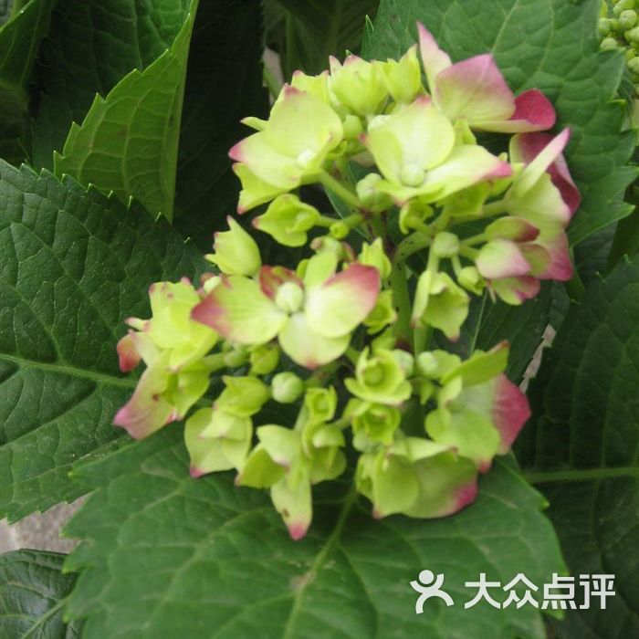 英雄山文化市场鸡毛掸子图片-北京书店音像-大众点评网