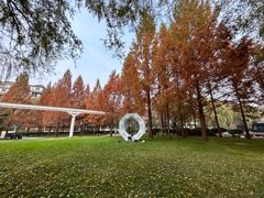 -唐城墙遗址公园