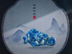 -中国地质博物馆